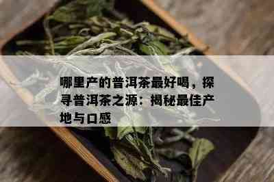 哪里产的普洱茶更好喝，探寻普洱茶之源：揭秘更佳产地与口感