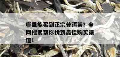 哪里能买到正宗普洱茶？全网搜索帮你找到更佳购买渠道！