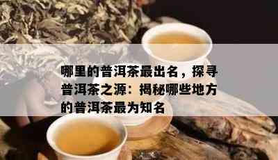 哪里的普洱茶最出名，探寻普洱茶之源：揭秘哪些地方的普洱茶最为知名