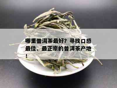 哪里普洱茶更好？寻找口感更佳、最正宗的普洱茶产地！