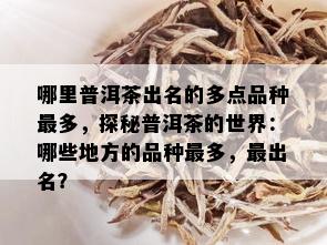 哪里普洱茶出名的多点品种最多，探秘普洱茶的世界：哪些地方的品种最多，最出名？