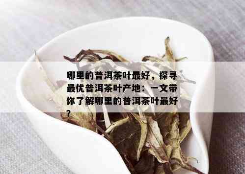 哪里的普洱茶叶更好，探寻更优普洱茶叶产地：一文带你了解哪里的普洱茶叶更好？