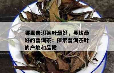 哪里普洱茶叶更好，寻找更好的普洱茶：探索普洱茶叶的产地和品质