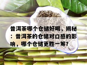 普洱茶哪个仓储好喝，揭秘：普洱茶的仓储对口感的影响，哪个仓储更胜一筹？