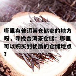 哪里有普洱茶仓储卖的地方呀，寻找普洱茶仓储：哪里可以购买到优质的仓储地点？