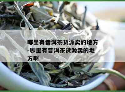 哪里有普洱茶货源卖的地方-哪里有普洱茶货源卖的地方啊