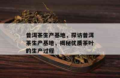 普洱茶生产基地，探访普洱茶生产基地，揭秘优质茶叶的生产过程