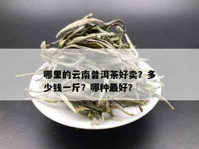 哪里的云南普洱茶好卖？多少钱一斤？哪种更好？