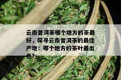 云南普洱茶哪个地方的茶更好，探寻云南普洱茶的更佳产地：哪个地方的茶叶最出色？