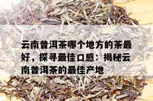 云南普洱茶哪个地方的茶更好，探寻更佳口感：揭秘云南普洱茶的更佳产地