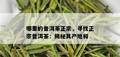 哪里的普洱茶正宗，寻找正宗普洱茶：揭秘其产地和