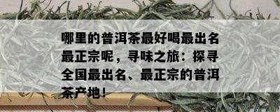 哪里的普洱茶更好喝最出名最正宗呢，寻味之旅：探寻全国最出名、最正宗的普洱茶产地！