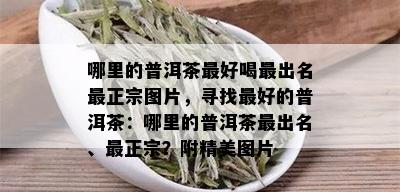 哪里的普洱茶更好喝最出名最正宗图片，寻找更好的普洱茶：哪里的普洱茶最出名、最正宗？附精美图片