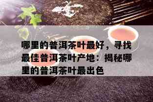 哪里的普洱茶叶更好，寻找更佳普洱茶叶产地：揭秘哪里的普洱茶叶最出色