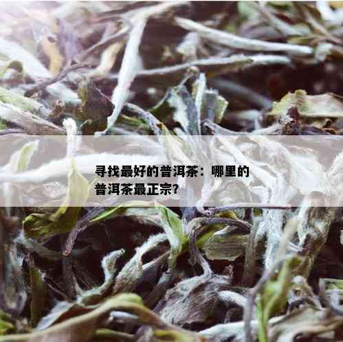 寻找更好的普洱茶：哪里的普洱茶最正宗？