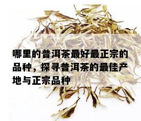 哪里的普洱茶更好最正宗的品种，探寻普洱茶的更佳产地与正宗品种