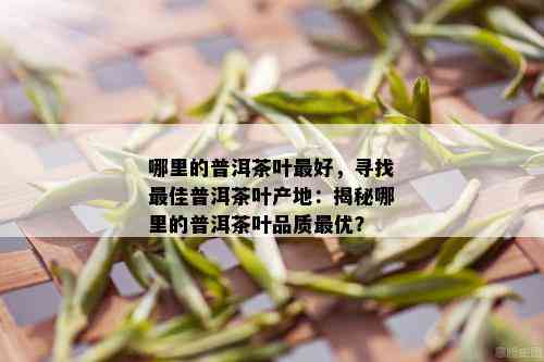 哪里的普洱茶叶更好，寻找更佳普洱茶叶产地：揭秘哪里的普洱茶叶品质更优？