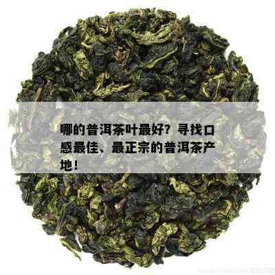 哪的普洱茶叶更好？寻找口感更佳、最正宗的普洱茶产地！