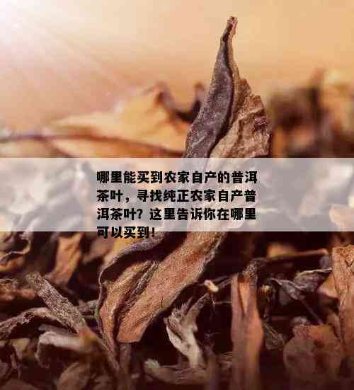 哪里能买到农家自产的普洱茶叶，寻找纯正农家自产普洱茶叶？这里告诉你在哪里可以买到！