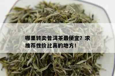 哪里转卖普洱茶更便宜？求推荐性价比高的地方！