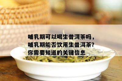 哺乳期可以喝生普洱茶吗，哺乳期能否饮用生普洱茶？你需要知道的关键信息