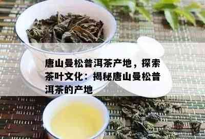 唐山曼松普洱茶产地，探索茶叶文化：揭秘唐山曼松普洱茶的产地