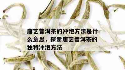 唐艺普洱茶的冲泡方法是什么意思，探索唐艺普洱茶的独特冲泡方法