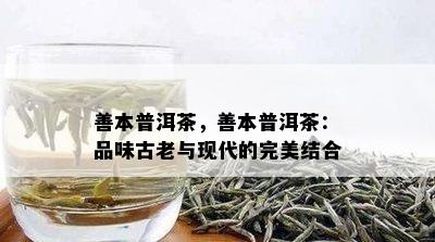 善本普洱茶，善本普洱茶：品味古老与现代的完美结合