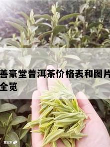 善豪堂普洱茶价格表和图片全览