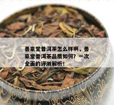 善豪堂普洱茶怎么样啊，善豪堂普洱茶品质如何？一次全面的评测解析！