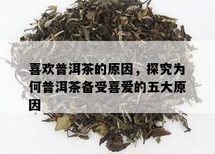 喜欢普洱茶的原因，探究为何普洱茶备受喜爱的五大原因