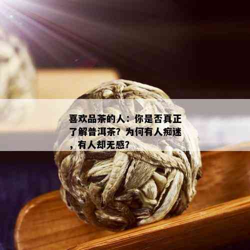 喜欢品茶的人：你是否真正了解普洱茶？为何有人痴迷，有人却无感？