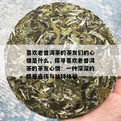 喜欢老普洱茶的茶友们的心情是什么，探寻喜欢老普洱茶的茶友心情：一种深深的情感连接与独特体验