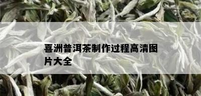 喜洲普洱茶制作过程高清图片大全