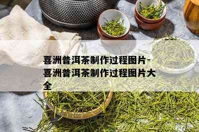 喜洲普洱茶制作过程图片-喜洲普洱茶制作过程图片大全