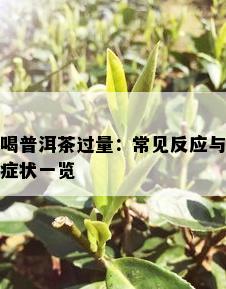 喝普洱茶过量：常见反应与症状一览