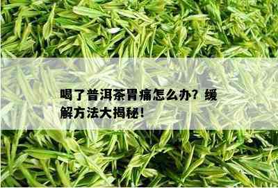 喝了普洱茶胃痛怎么办？缓解方法大揭秘！