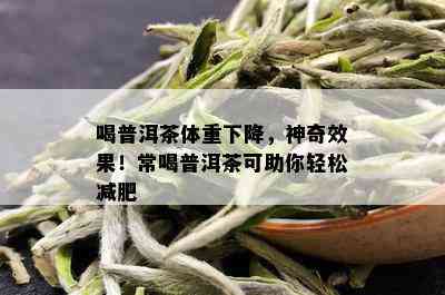 喝普洱茶体重下降，神奇效果！常喝普洱茶可助你轻松减肥