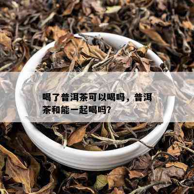 喝了普洱茶可以喝吗，普洱茶和能一起喝吗？