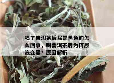 喝了普洱茶后尿是黑色的怎么回事，喝普洱茶后为何尿液变黑？原因解析