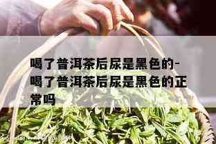 喝了普洱茶后尿是黑色的-喝了普洱茶后尿是黑色的正常吗