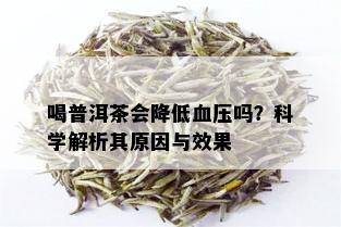 喝普洱茶会降低血压吗？科学解析其原因与效果