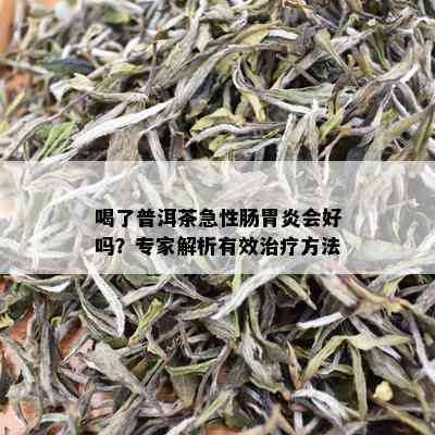 喝了普洱茶急性肠胃炎会好吗？专家解析有效治疗方法