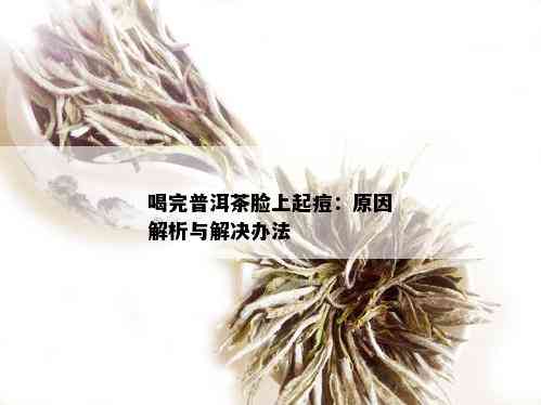 喝完普洱茶脸上起痘：原因解析与解决办法