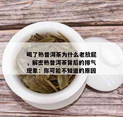 喝了熟普洱茶为什么老放屁，解密熟普洱茶背后的排气现象：你可能不知道的原因