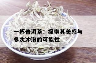 一杯普洱茶：探索其美感与多次冲泡的可能性