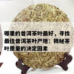 哪里的普洱茶叶更好，寻找更佳普洱茶叶产地：揭秘茶叶质量的决定因素