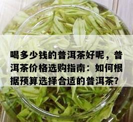 喝多少钱的普洱茶好呢，普洱茶价格选购指南：如何根据预算选择合适的普洱茶？