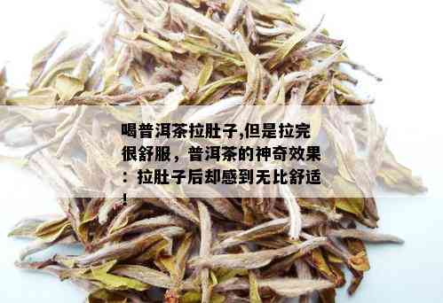 喝普洱茶拉肚子,但是拉完很舒服，普洱茶的神奇效果：拉肚子后却感到无比舒适！