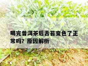 喝完普洱茶后舌苔变色了正常吗？原因解析